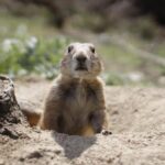 Madrid: Faunia Entry Ticket - Exploring the Main Ecosystems and Themed Areas