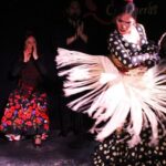 Madrid: Flamenco Show with Tapas and Wine Tour - Itinerary Breakdown: What to Expect