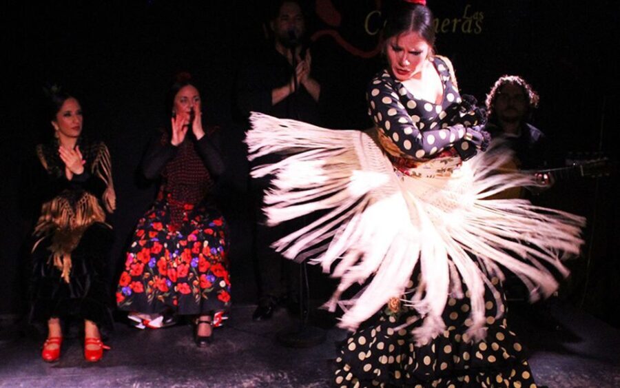 Madrid: Flamenco Show with Tapas and Wine Tour - Itinerary Breakdown: What to Expect