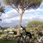 Madrids River Side & Casa de Campo Electric Bike Tour - Who Will Love This Tour?