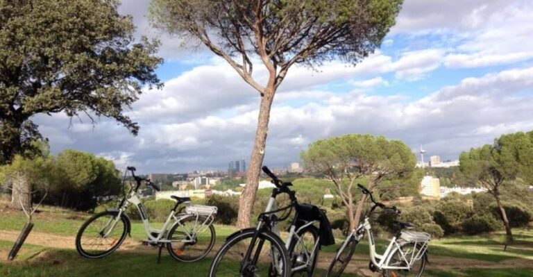 Madrids River Side & Casa de Campo Electric Bike Tour - Who Will Love This Tour?