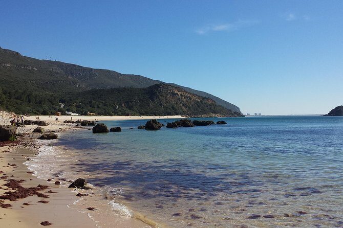 Magic Arrábida Tour - Authentic Insights and Traveler Perspectives