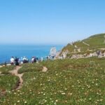 Magical Day Trip: Pena Palace, Sintra, CaboDa Roca & Cascais - Why This Tour Offers Excellent Value