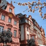 Mainz Guided Visit - Final Thoughts: Who Will Love This Tour?