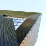 Mainz: Private Christmas Market Tour - The Sum Up