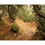 Majestic Meteora Private Morning Tours - Key Points