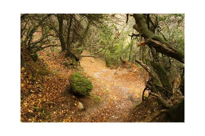 Majestic Meteora Private Morning Tours - Key Points