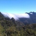 Majestic West Tour and Fanal Forest - The Sum Up