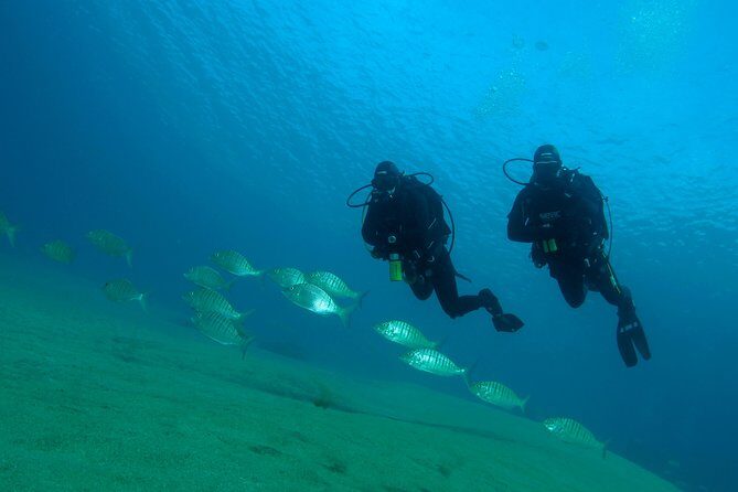 Make a private Try Dive, for your first Scuba experience! - Final Thoughts: Is This Try Dive for You?