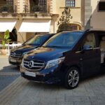 Malaga Airport (Costa del Sol) Private Departure Transfer - Frequently Asked Questions