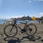 Malaga: Bike Rental for City Discovery Route & Beaches - The Route and What You Can Expect