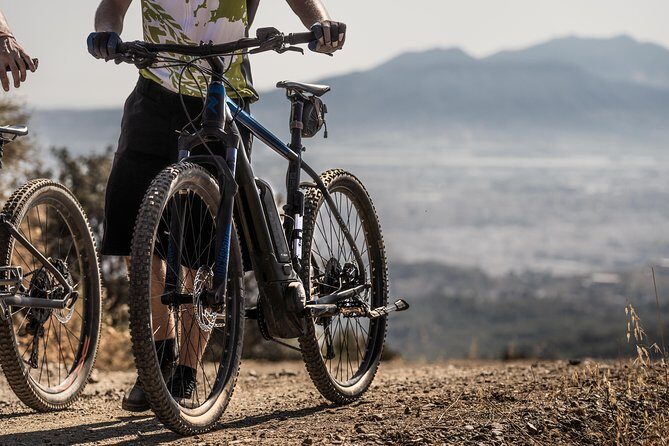 Malaga E-MTB Tour: Botanical Garden, Natural Park and Port of Malaga - Final Thoughts