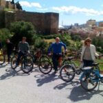 Malaga: Private City Highlights Bike Tour with Old Town - Final Thoughts