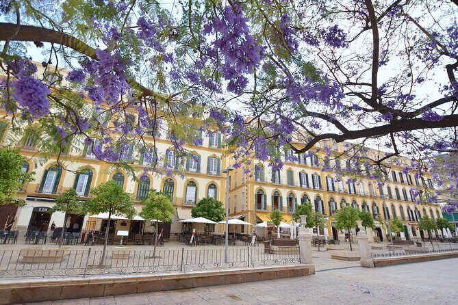 Malaga Private Walking Tour - FAQ