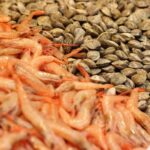 Malaga Tapas Cooking Class - Learning to Cook Authentic Tapas