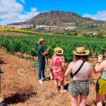 Malaga: White Village, Vineyard, and Wine Tasting Wine Tour - Why This Tour Stands Out