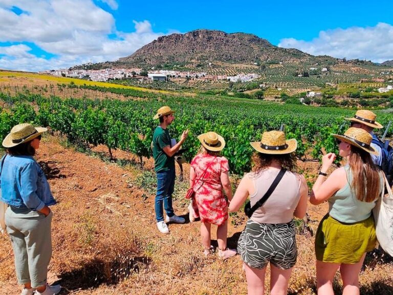 Malaga: White Village, Vineyard, and Wine Tasting Wine Tour - Why This Tour Stands Out