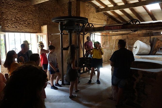 Mallorca: 5-hours Hidden Marvels Tour - Final Thoughts