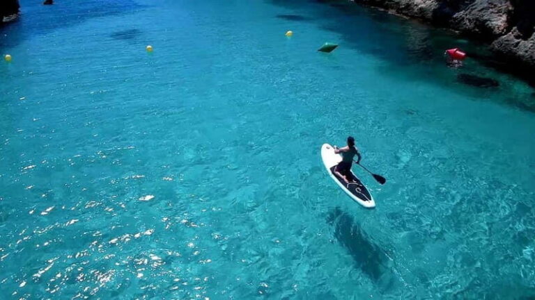 Mallorca: Discover paradisiacal coves on board of an exclusive catamaran - Visiting the Coves: Highlights and Expectations