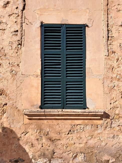 Mallorca: Exclusive wine tour with breakfast, wine tasting, and paella - Scenic Vineyard and Off-Road Adventure