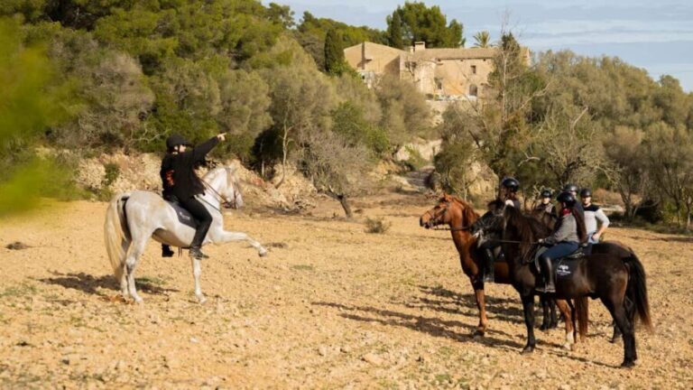 Mallorca: Guided Horseriding Tour of Randa Valley - Discovering Mallorca’s Scenic Trails