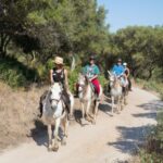Mallorca: Horseback Riding Excursion and Wine Tasting - The Itinerary: A Closer Look