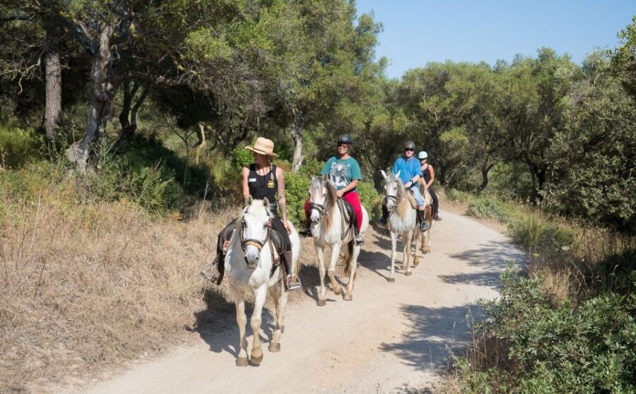 Mallorca: Horseback Riding Excursion and Wine Tasting - The Itinerary: A Closer Look