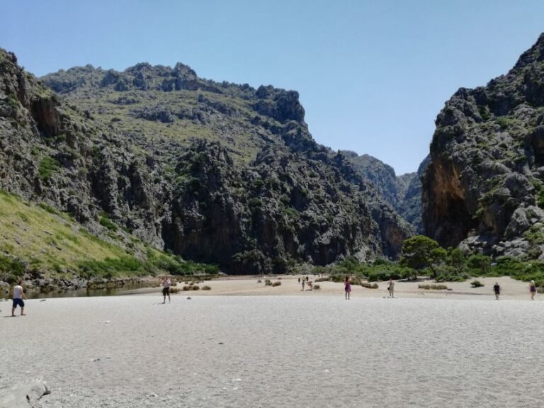 Mallorca: Island Tour with Boat, Train, and Hotel Transfer - Authentic Experiences from Traveler Reviews