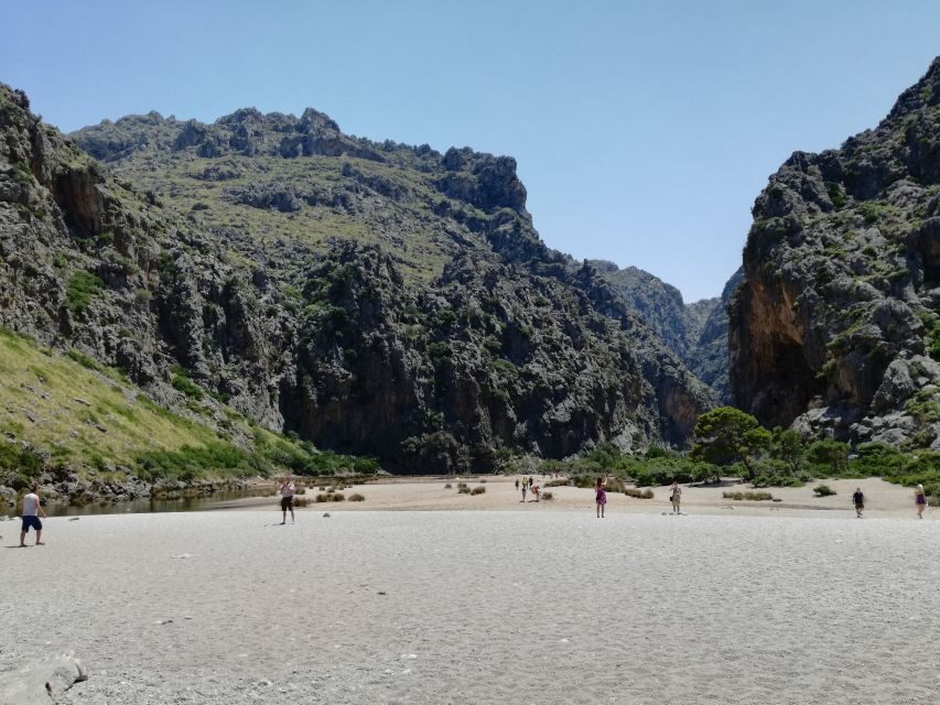 Mallorca: Island Tour with Boat, Train, and Hotel Transfer - Authentic Experiences from Traveler Reviews