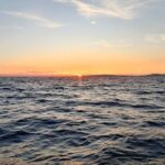 Mallorca Local Boat Experience - What to Expect During the Experience