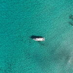 Mallorca: Private boat tour in Palma de Mallorca - The Experience Provider & Reviews