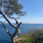 Mallorca Secret Coves Land Rover Private Tour - Cost and Value