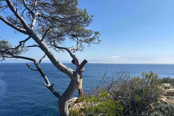 Mallorca Secret Coves Land Rover Private Tour - Cost and Value