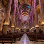 Mallorca Shore Excursion Bellver Castle and Cathedral Private Tour - In-Depth Look at the Mallorca Shore Excursion