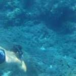 Mallorca: Sóller Boat Tour with Snorkeling and Snacks - Who Is This Tour Best For?