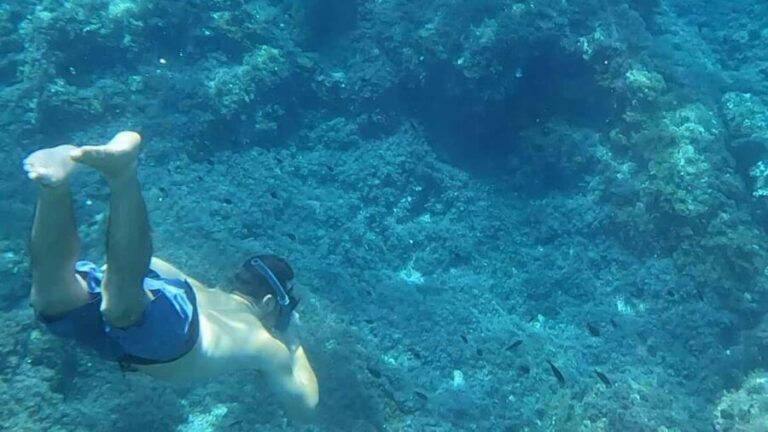 Mallorca: Sóller Boat Tour with Snorkeling and Snacks - Who Is This Tour Best For?