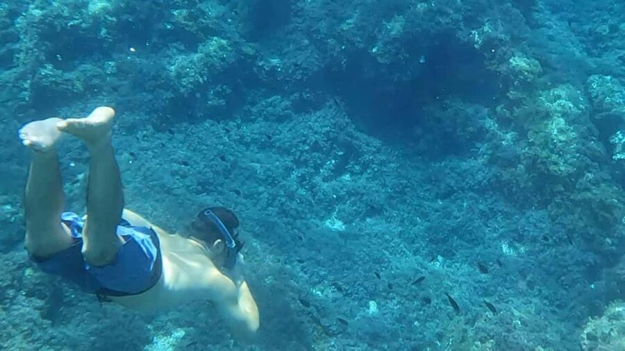 Mallorca: Sóller Boat Tour with Snorkeling and Snacks - Who Is This Tour Best For?