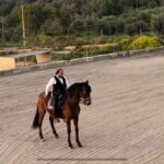 Mallorca: Sunset excursion, horse show, and falconry. - Who Will Love This Experience?