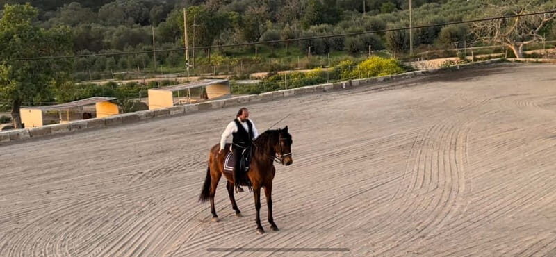 Mallorca: Sunset excursion, horse show, and falconry. - Who Will Love This Experience?