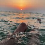 Mallorca: Sunset Pizza boat tour Andratx - Dragonera + Snorkeling - The Itinerary in Detail