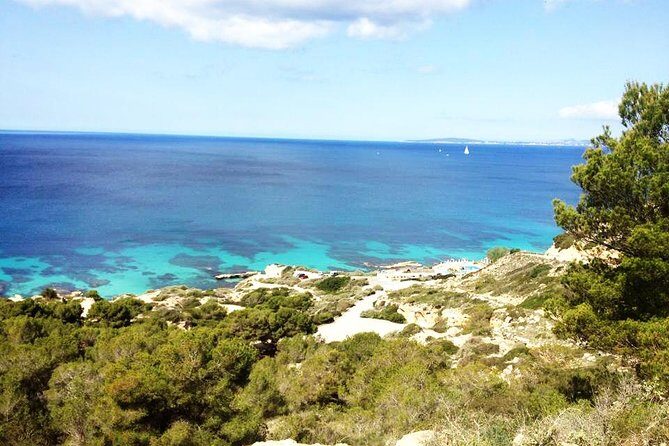 Mallorca: Try Scuba Diving in a Beautiful Nature Reserve - Final Thoughts