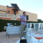 Mallorca Wine and Cheese Tasting - The Wines and Food Pairings: What You’ll Taste