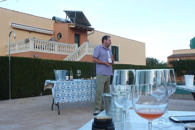 Mallorca Wine and Cheese Tasting - The Wines and Food Pairings: What You’ll Taste