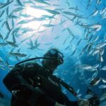 Malta: 1-Day PADI Scuba Diver Certification Beginner Course - Practical Details and Considerations