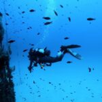 Malta: 2 Scuba Fun Dives for Certified divers - The Value of Guided Dives and Local Expertise