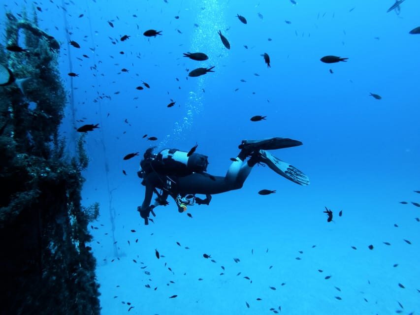 Malta: 2 Scuba Fun Dives for Certified divers - The Value of Guided Dives and Local Expertise