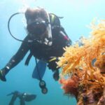Malta: Beginner Scuba Diving with Dive Registration - Why This Tour Offers Great Value