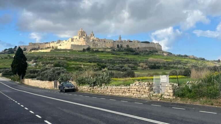 Malta half day customised excursions - What Travelers Say: Authentic Insights