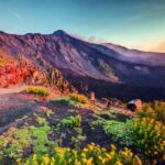 Malta: Mount Etna and Taormina Guided Day Trip by Catamaran - Practical Tips and Considerations