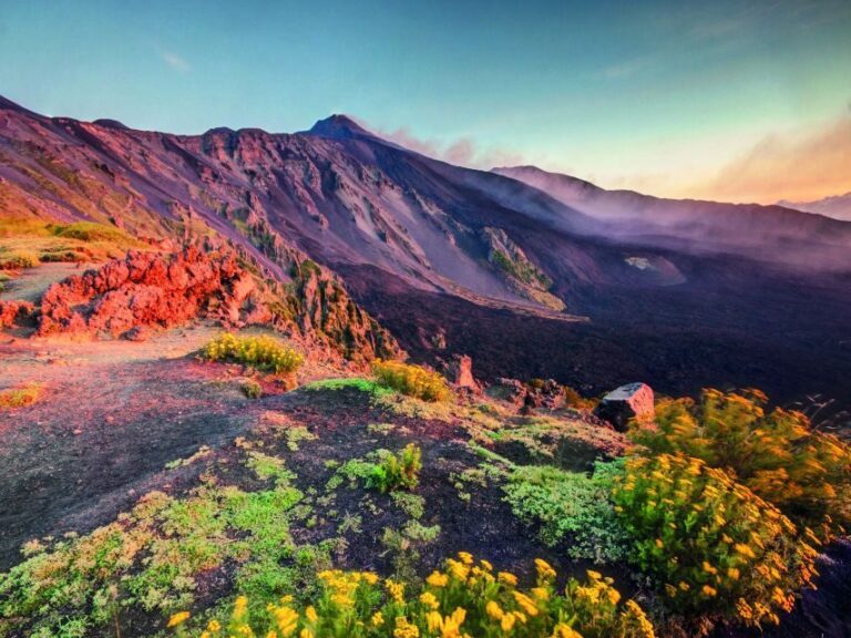 Malta: Mount Etna and Taormina Guided Day Trip by Catamaran - Practical Tips and Considerations